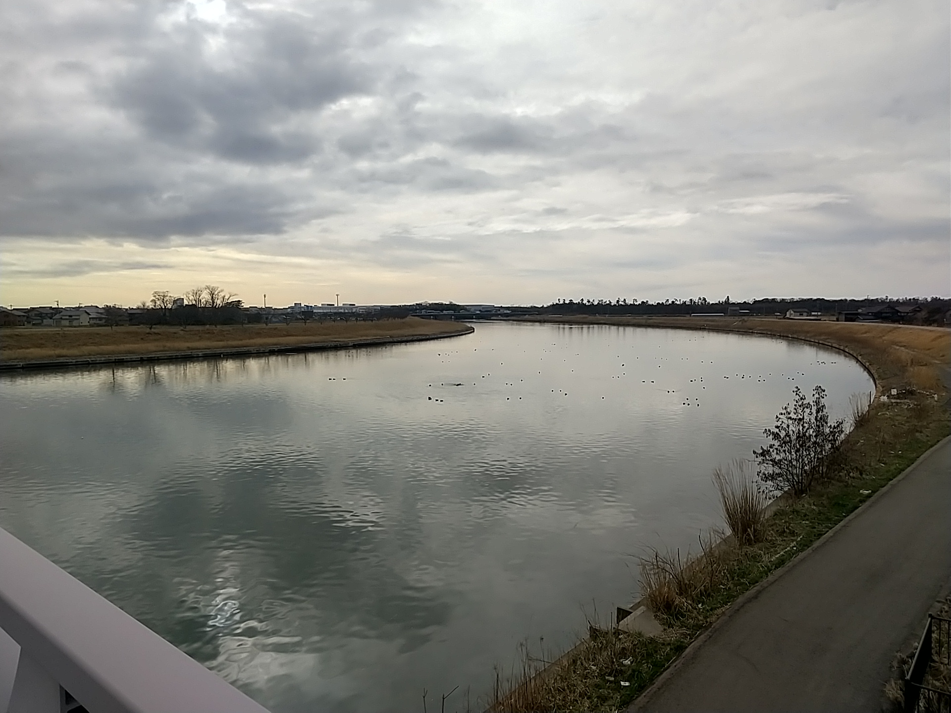20250312_赤土大橋　犀川
